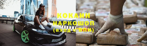 прущие грибы Алзамай