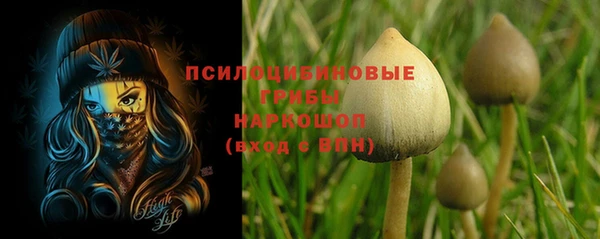прущие грибы Алзамай