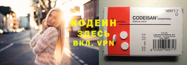 прущие грибы Алзамай
