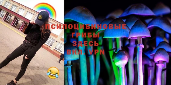 прущие грибы Алзамай