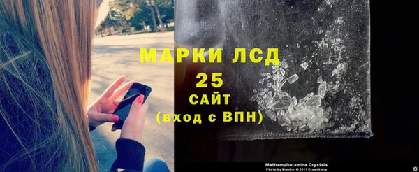 прущие грибы Алзамай