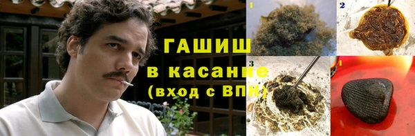 прущие грибы Алзамай