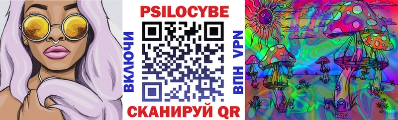 купить наркоту  Саки  Галлюциногенные грибы Cubensis 